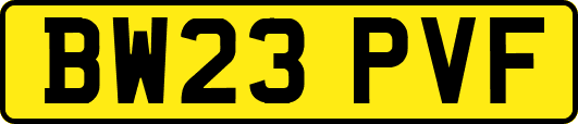 BW23PVF