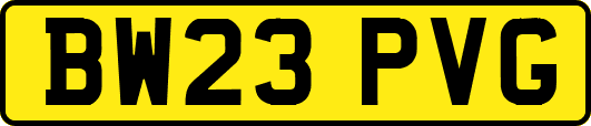 BW23PVG