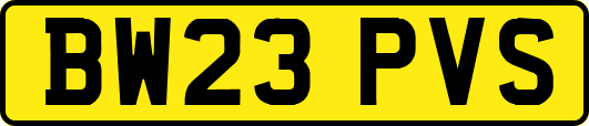 BW23PVS