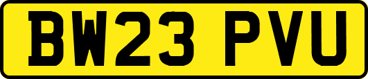 BW23PVU