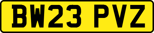 BW23PVZ