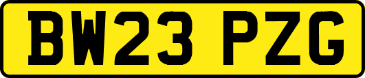 BW23PZG