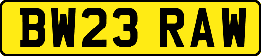 BW23RAW