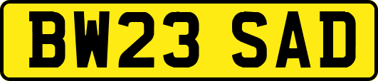 BW23SAD