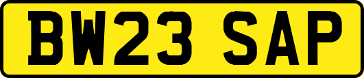 BW23SAP
