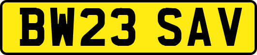 BW23SAV