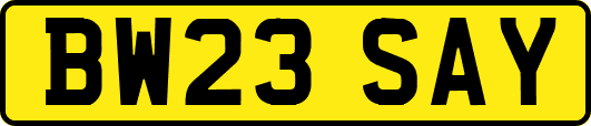 BW23SAY