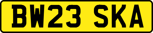BW23SKA