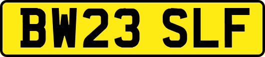BW23SLF
