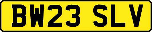 BW23SLV