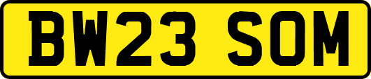 BW23SOM