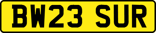 BW23SUR