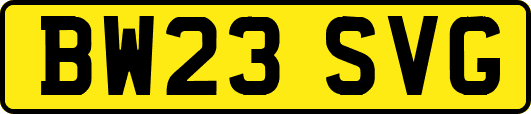 BW23SVG