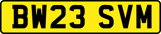 BW23SVM