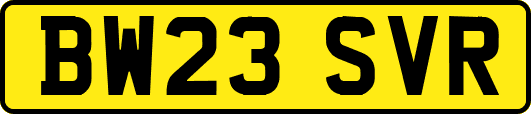BW23SVR