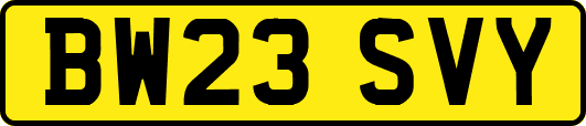 BW23SVY