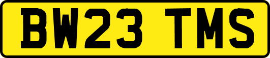 BW23TMS