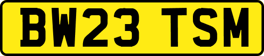 BW23TSM