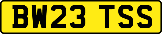 BW23TSS