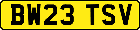 BW23TSV