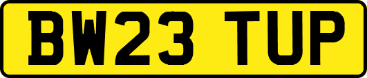 BW23TUP