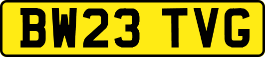 BW23TVG