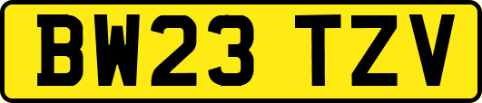 BW23TZV