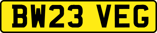 BW23VEG