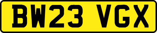 BW23VGX