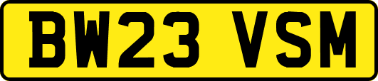 BW23VSM
