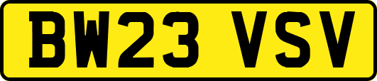 BW23VSV