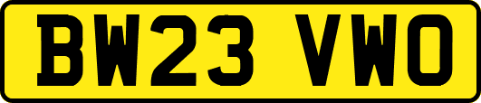 BW23VWO