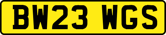BW23WGS