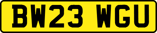 BW23WGU