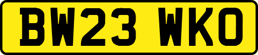 BW23WKO