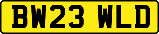 BW23WLD