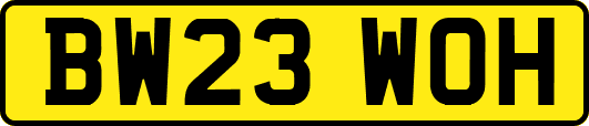 BW23WOH