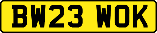 BW23WOK