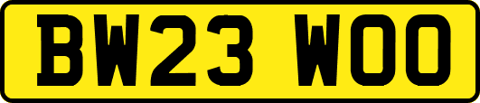 BW23WOO