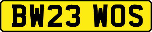 BW23WOS