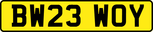 BW23WOY