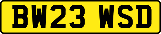 BW23WSD