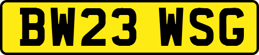 BW23WSG