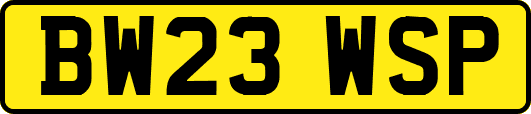BW23WSP