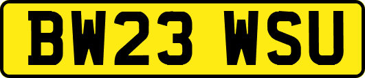 BW23WSU