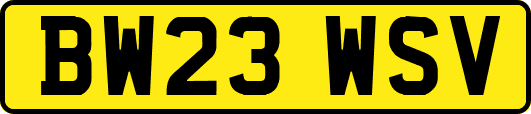 BW23WSV