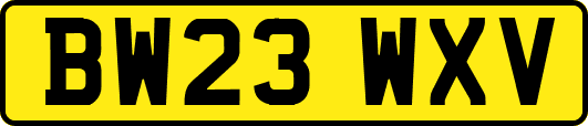 BW23WXV