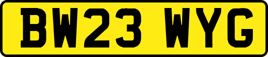 BW23WYG