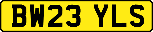 BW23YLS