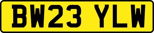 BW23YLW